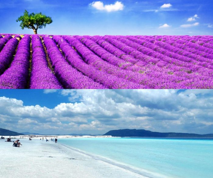 Lavender Harvest & Salda Lake