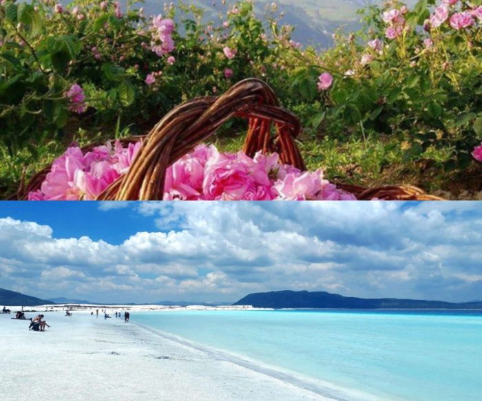 Rose Harvest & Salda Lake