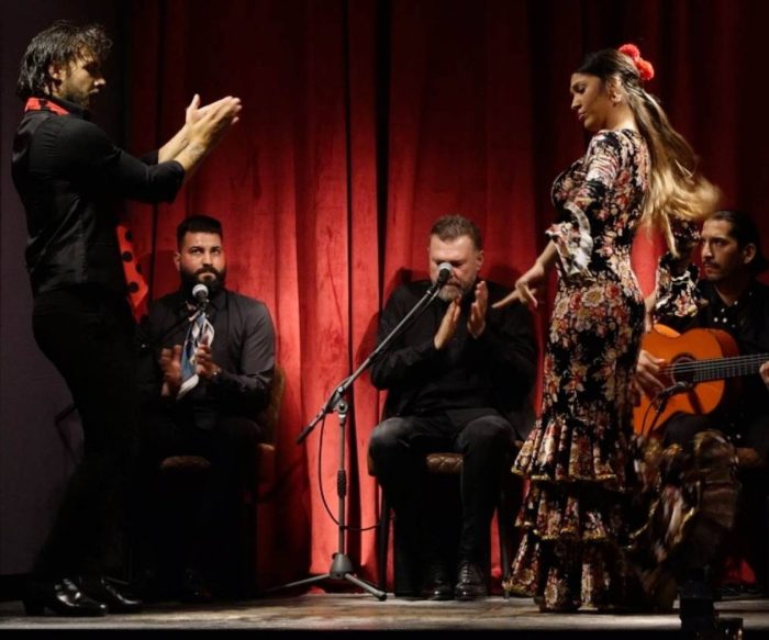 Flamenco Casa Sors & Guitar Museum With Dinner Or Drink