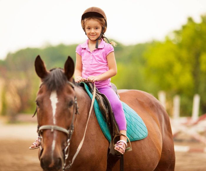 Horse Riding