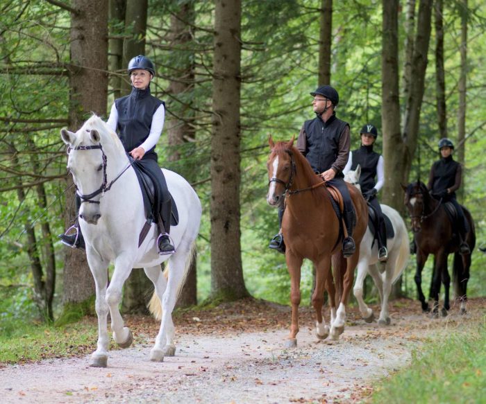 Horse Riding In Kazbegi