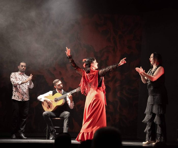 Essential Flamenco: Pure Flamenco Show In The Heart Of Madrid